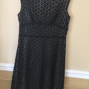 Loft lace dress with nude undertone